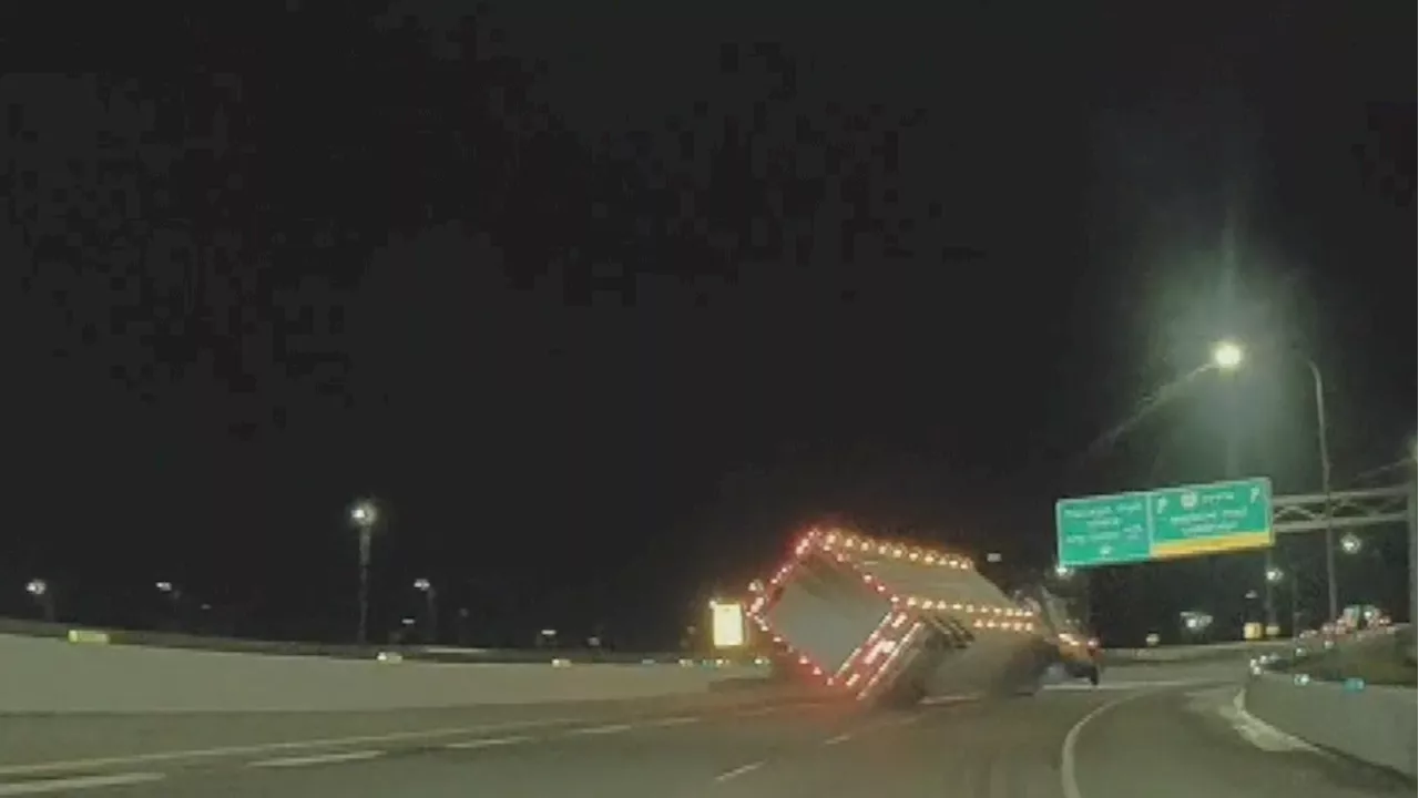 Semi-truck hauling cattle rolls over in Calgary leaving 17 cows dead: police