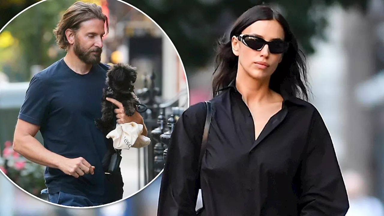 Irina Shayk passes dog Peanut over to ex Bradley Cooper during custody handoff in NYC