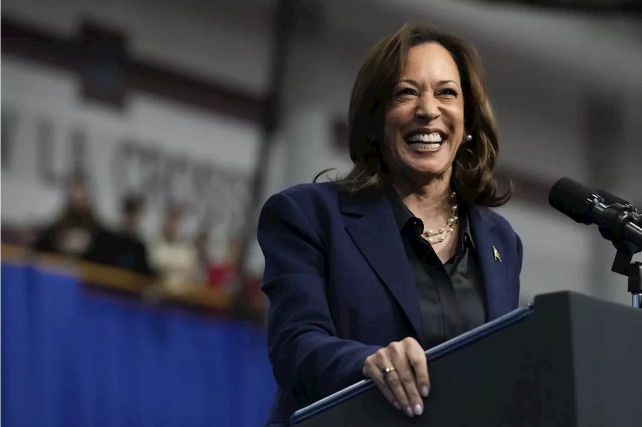 Harris to make final case for her candidacy in speech on National Mall: Report