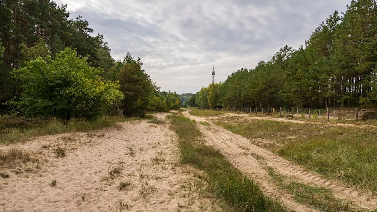 Bauarbeiten auf Ferieninsel: Hunderte gefährliche Militärkartuschen auf Usedom entdeckt