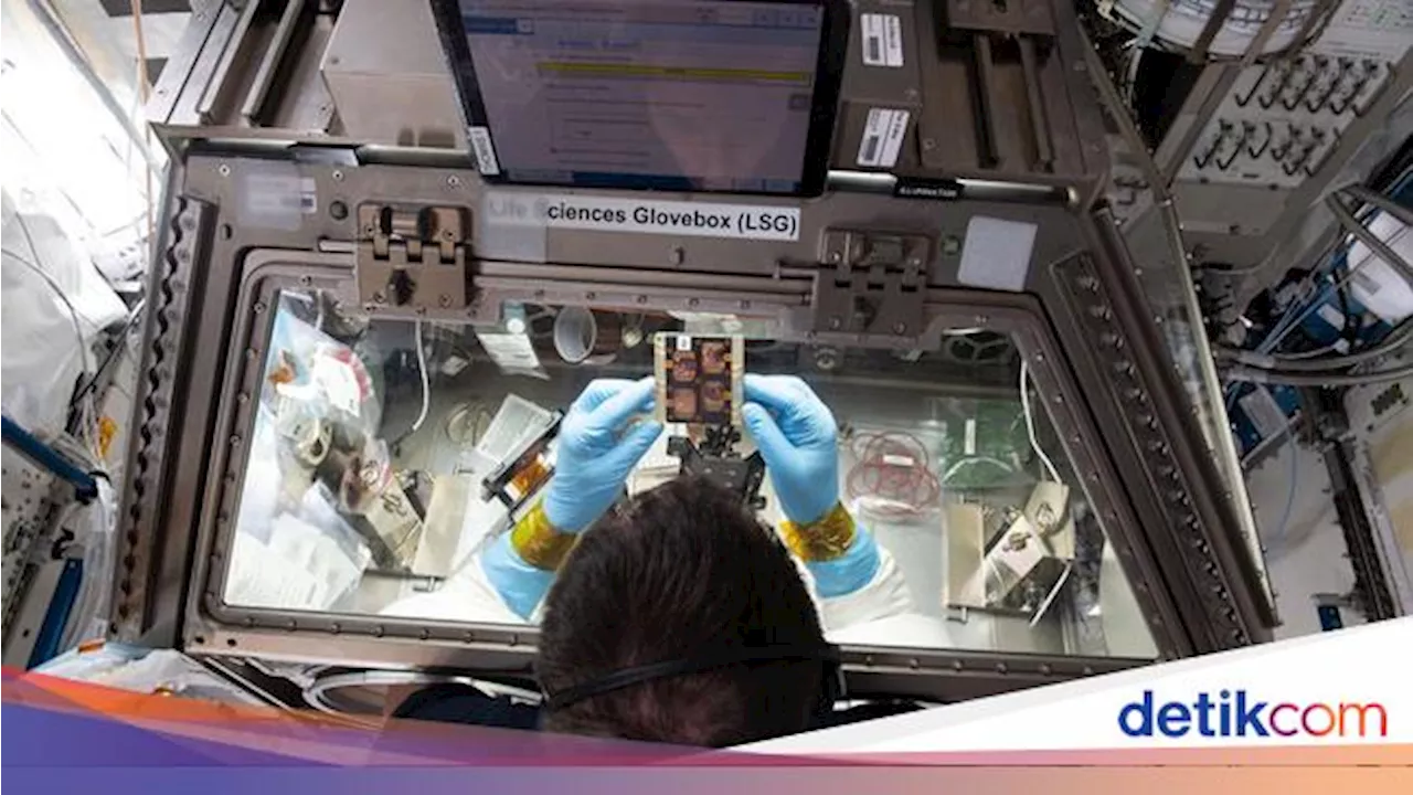 Luar Angkasa Bisa Jadi Laboratorium Besar untuk Pelajari Penuaan, Ini kata Studi