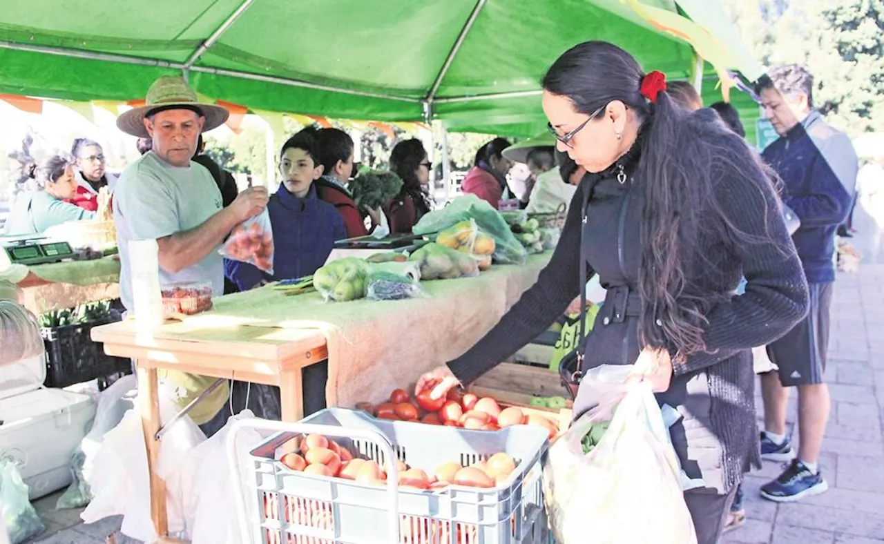 Desaceleran ventas al menudeo en agosto, reporta Inegi; ingresos reales bajan un 0.8%