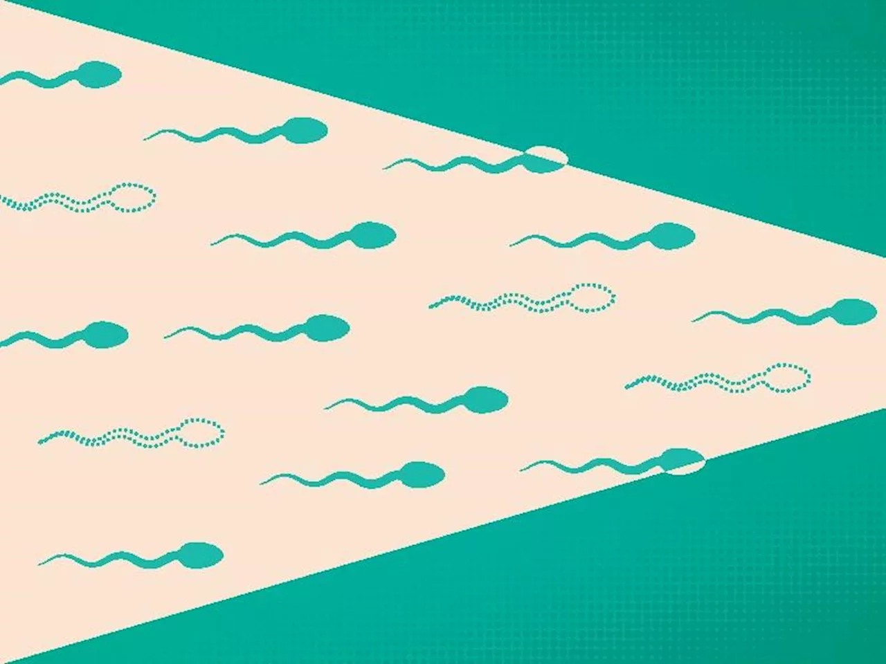 Male Infertility: Breaking The Silence Amid Cultural And Societal Taboos