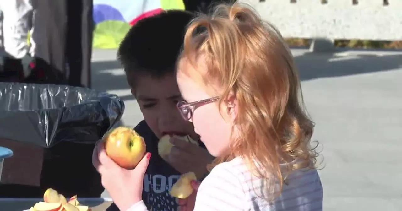 Apple Crunch Day is tasty and educational for Utah children