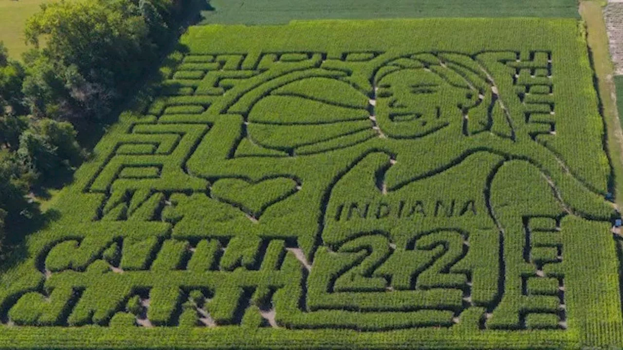 Caitlin Clark corn maze draws record crowds to County Line Orchard in Indiana