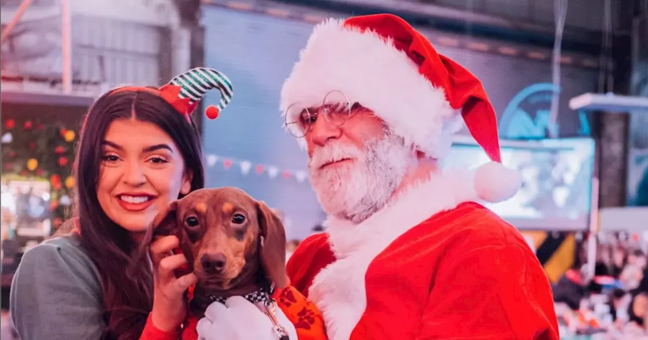 Glasgow street food spot to host Christmas event for festive fun with pups