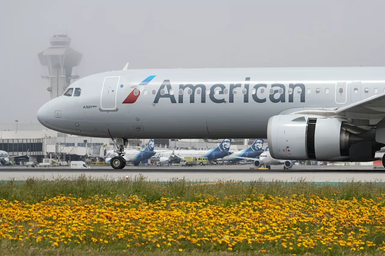 U.S. fines American Airlines $50-million over mishandling of disabled passengers and wheelchairs