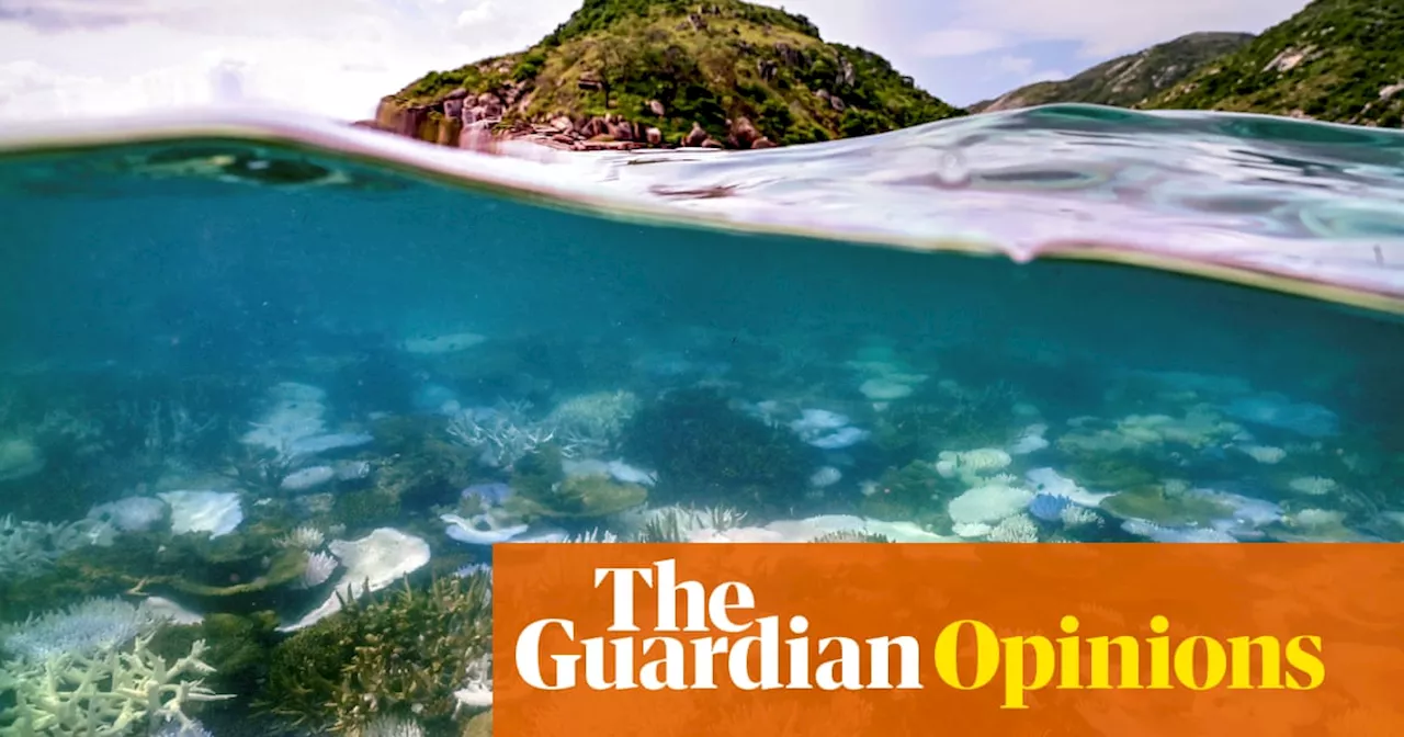 Bill Maher puts the fate of the Great Barrier Reef in the spotlight – but something’s missing from the soundbites