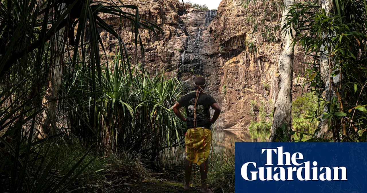 Parks Australia ordered to pay $200,000 fine for disturbing sacred site in Kakadu National Park