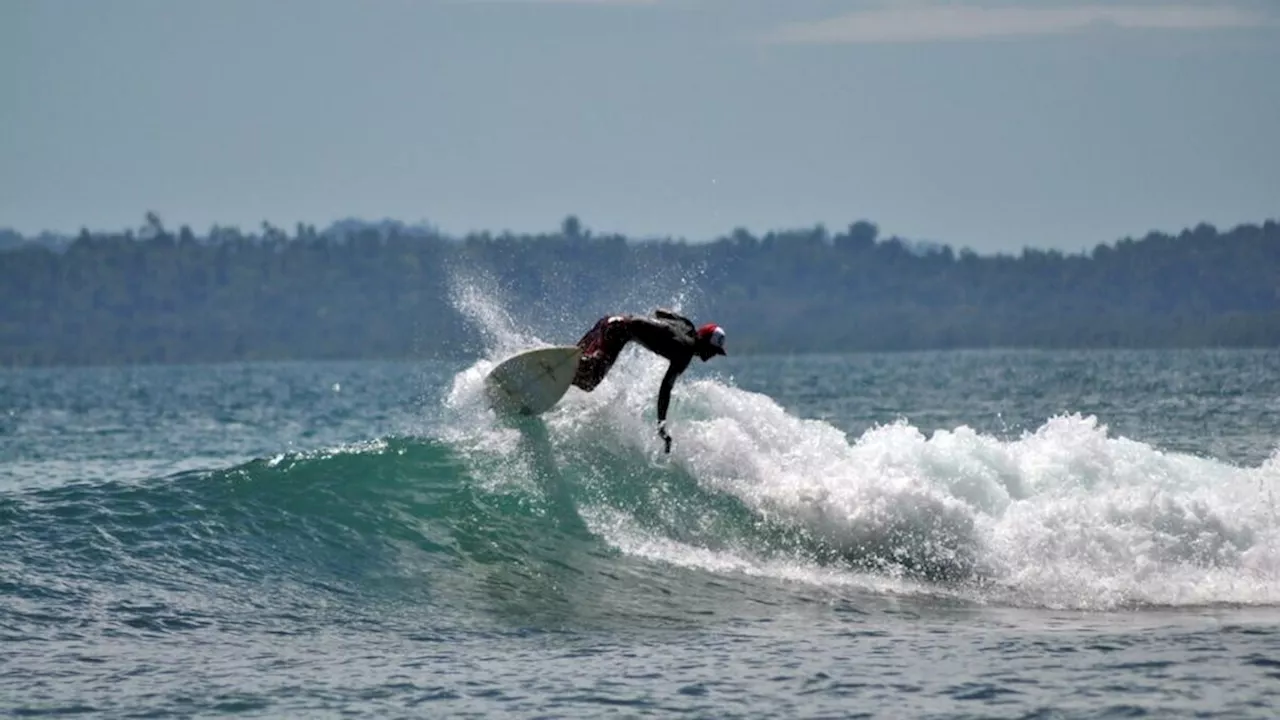 Kematian Peselancar Italia di Mentawai dan Kejadian Langka Serangan Ikan Todak