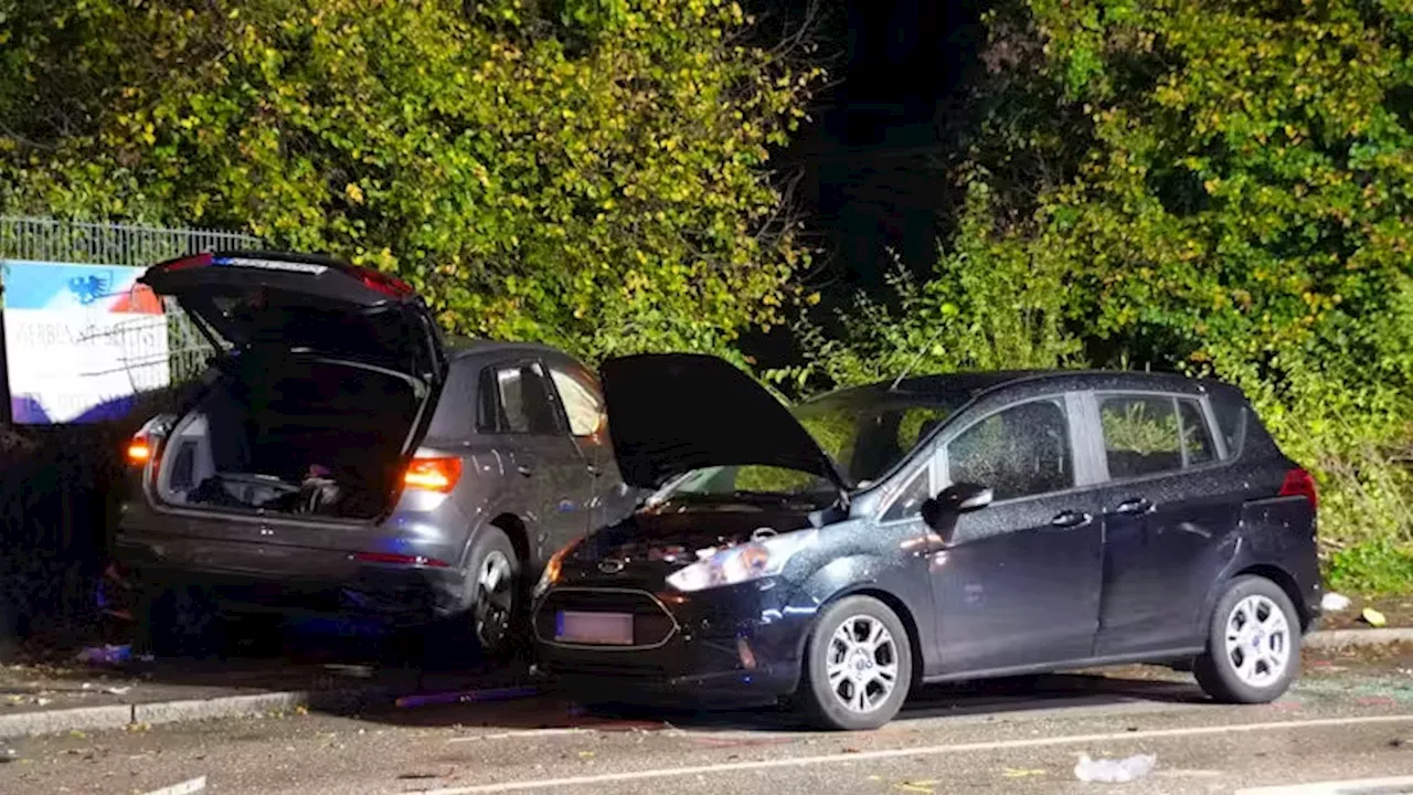  Autofahrer fährt Mutter und ihre zwei Kinder tot