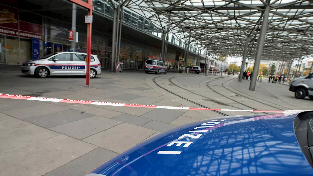 Cobra und WEGA im Einsatz - Messer-Mann am Praterstern: Polizei setzt Taser ein