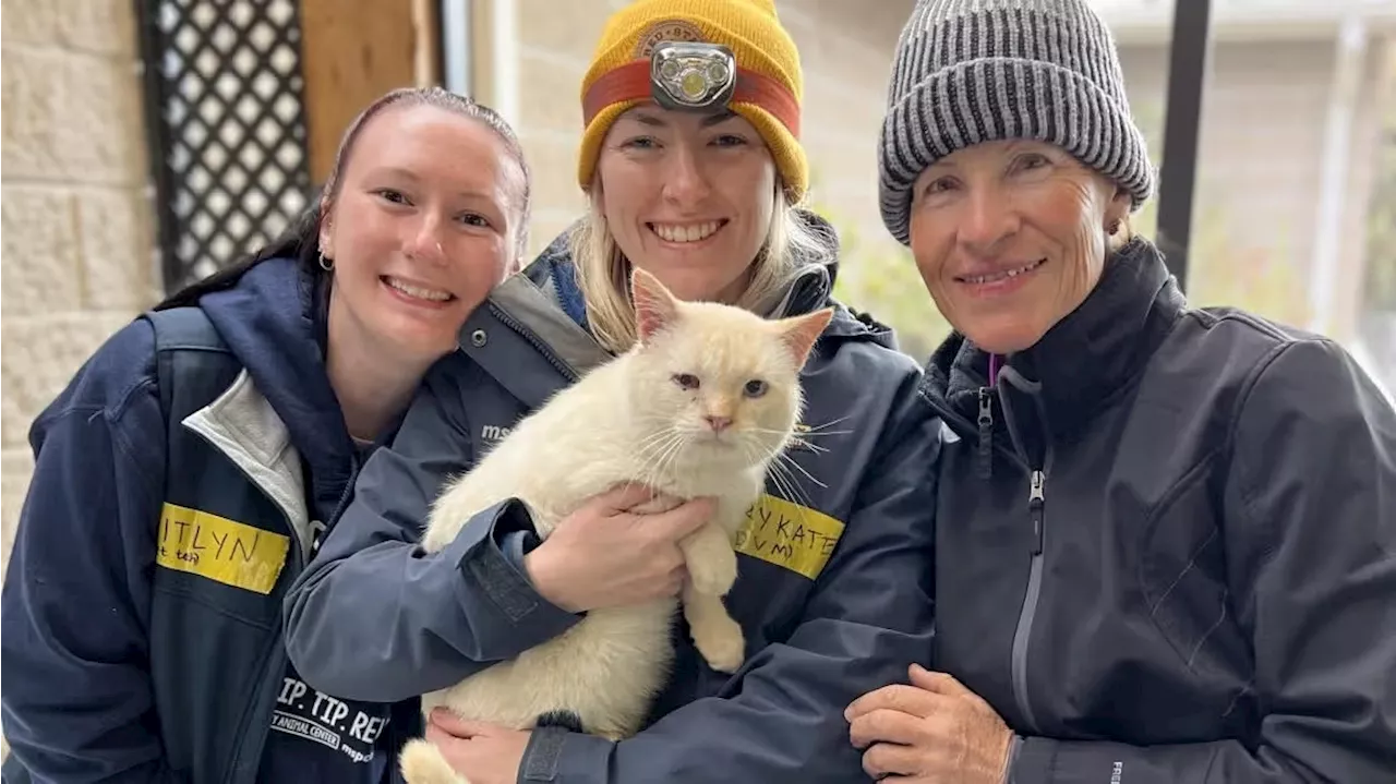 Drama um Kater 'Blanco' - Das große Katzen-Wunder nach dem Hurrikan Helene