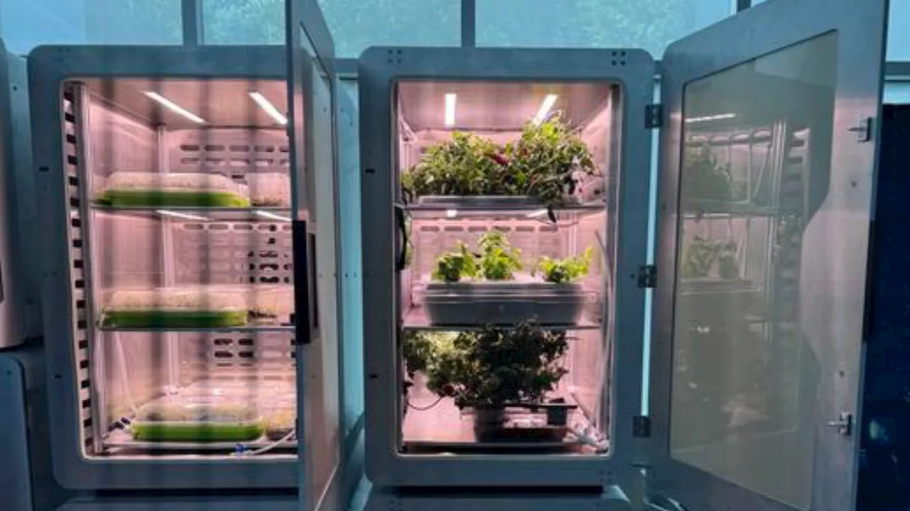 Farming knight: Electro-agriculture tech grows food in dark, cuts land use by 94%