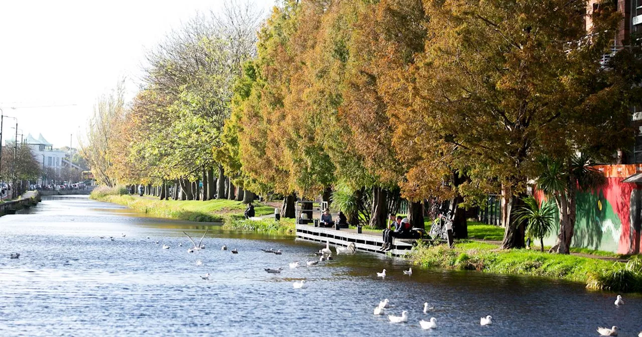 Ireland’s 'Indian summer' just days away as Met Eireann predicts dramatic U-turn