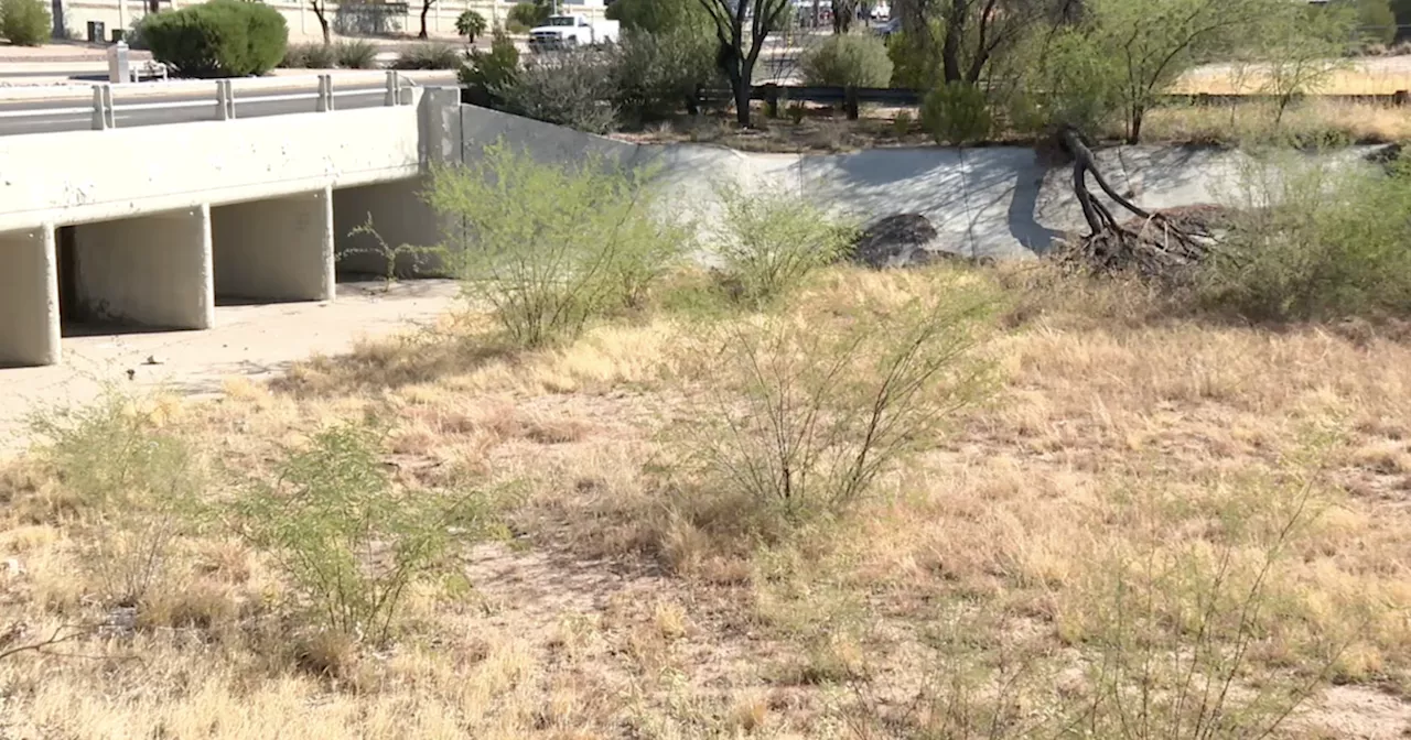 Eastside wash overgrowth leaves neighbors concerned over potential flooding