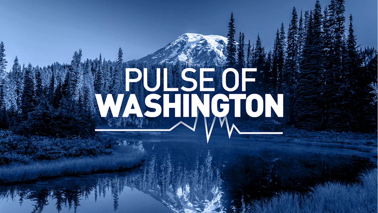 Pulse of Washington: KOMO poll shows top issues voters want elected leaders to focus on