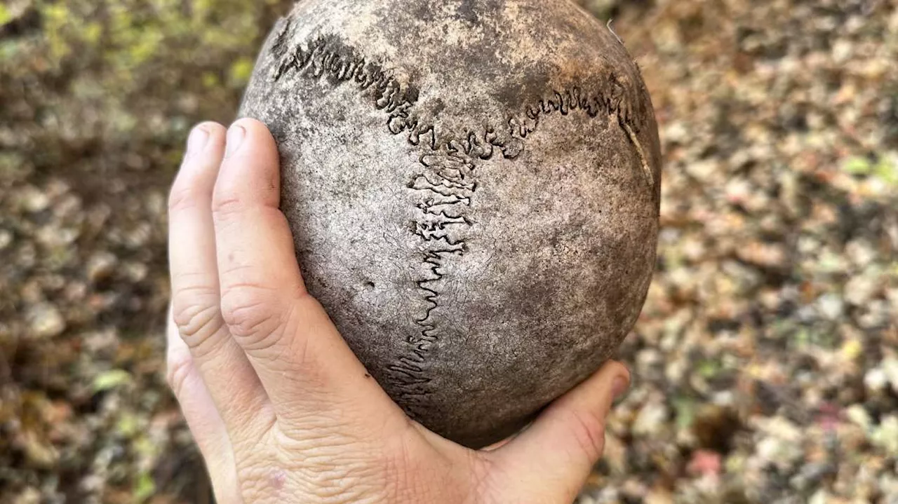 Hunters find human skull in Salt Lake backcountry