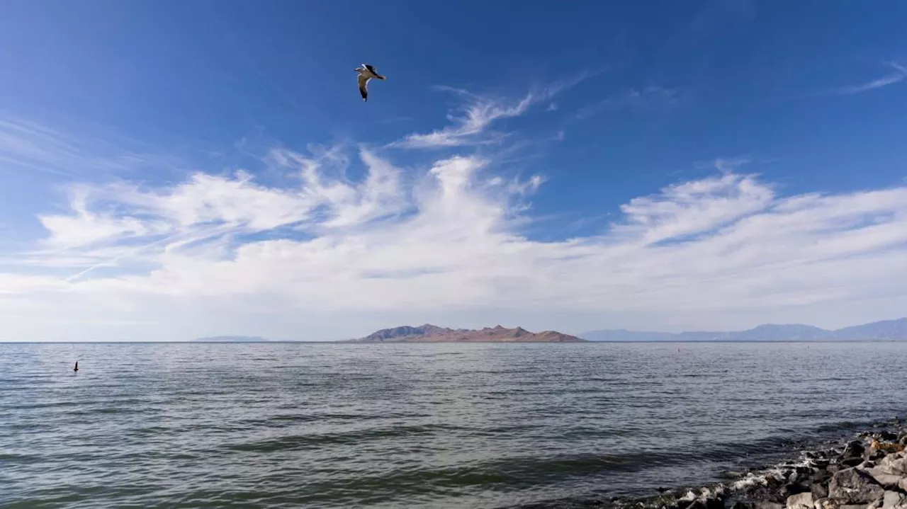 Man drowns while duck hunting on Great Salt Lake