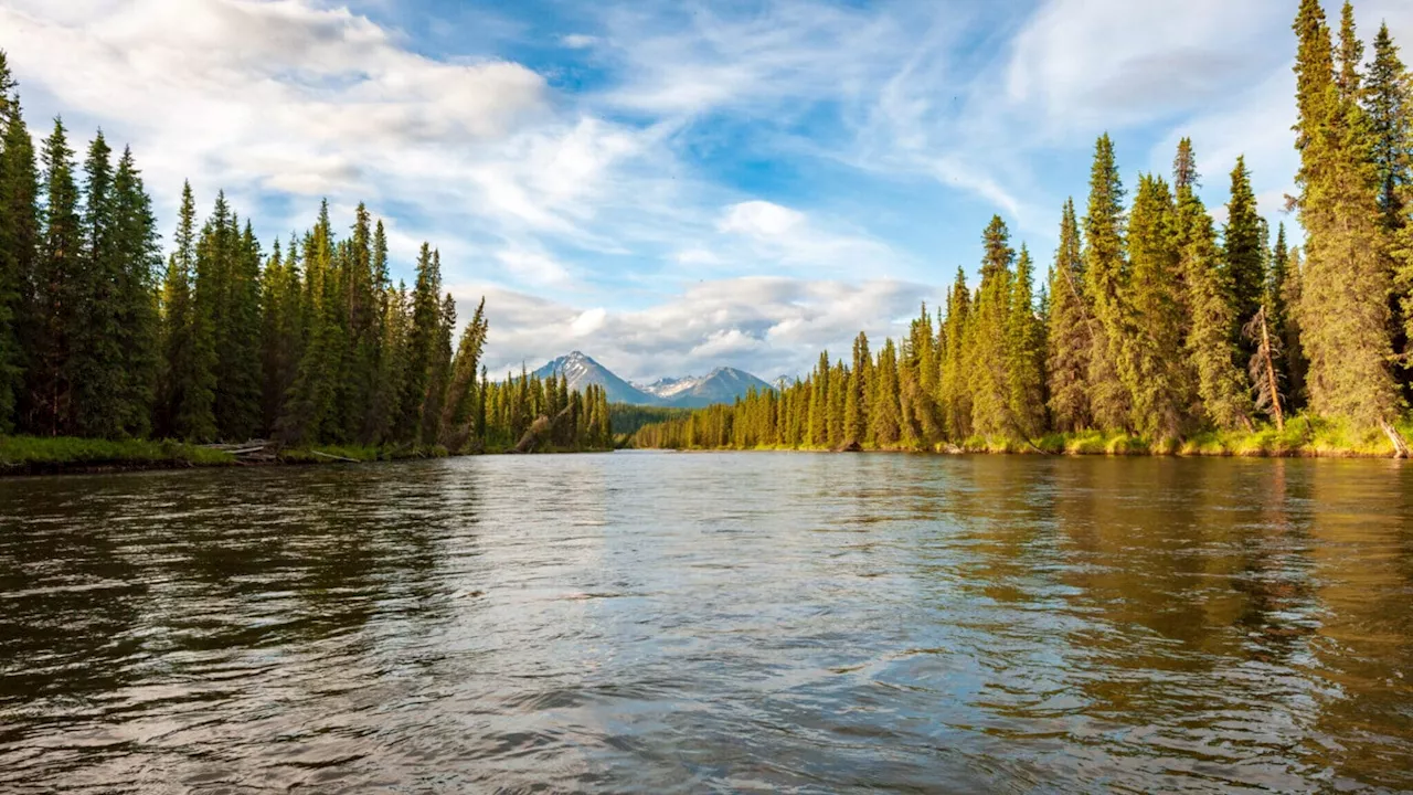 Above Stikine River, Canadian government boosts huge mining project you’ve probably never heard of