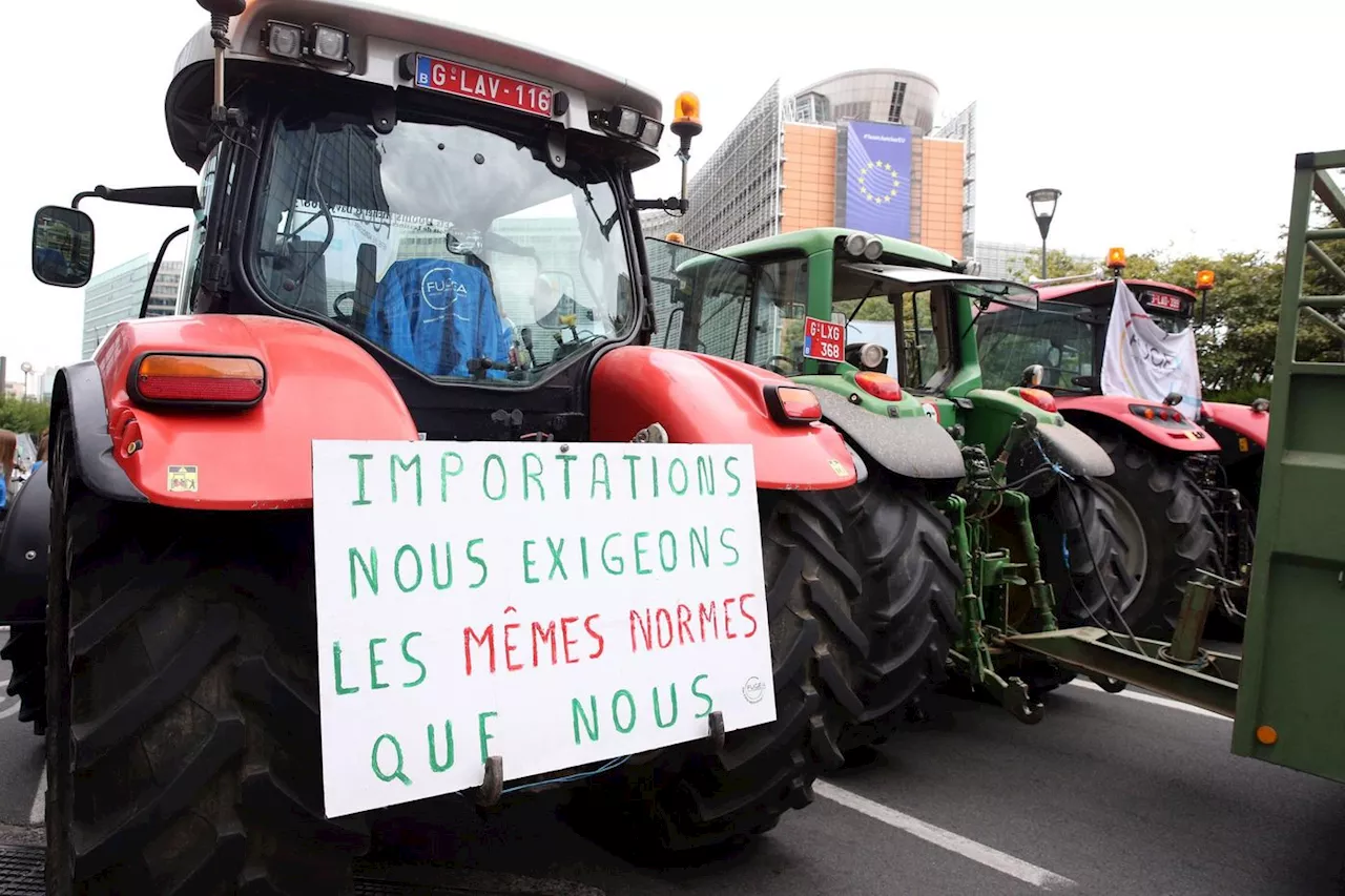 Les agriculteurs vent debout contre le projet d’accord commercial entre l’UE et le Mercosur