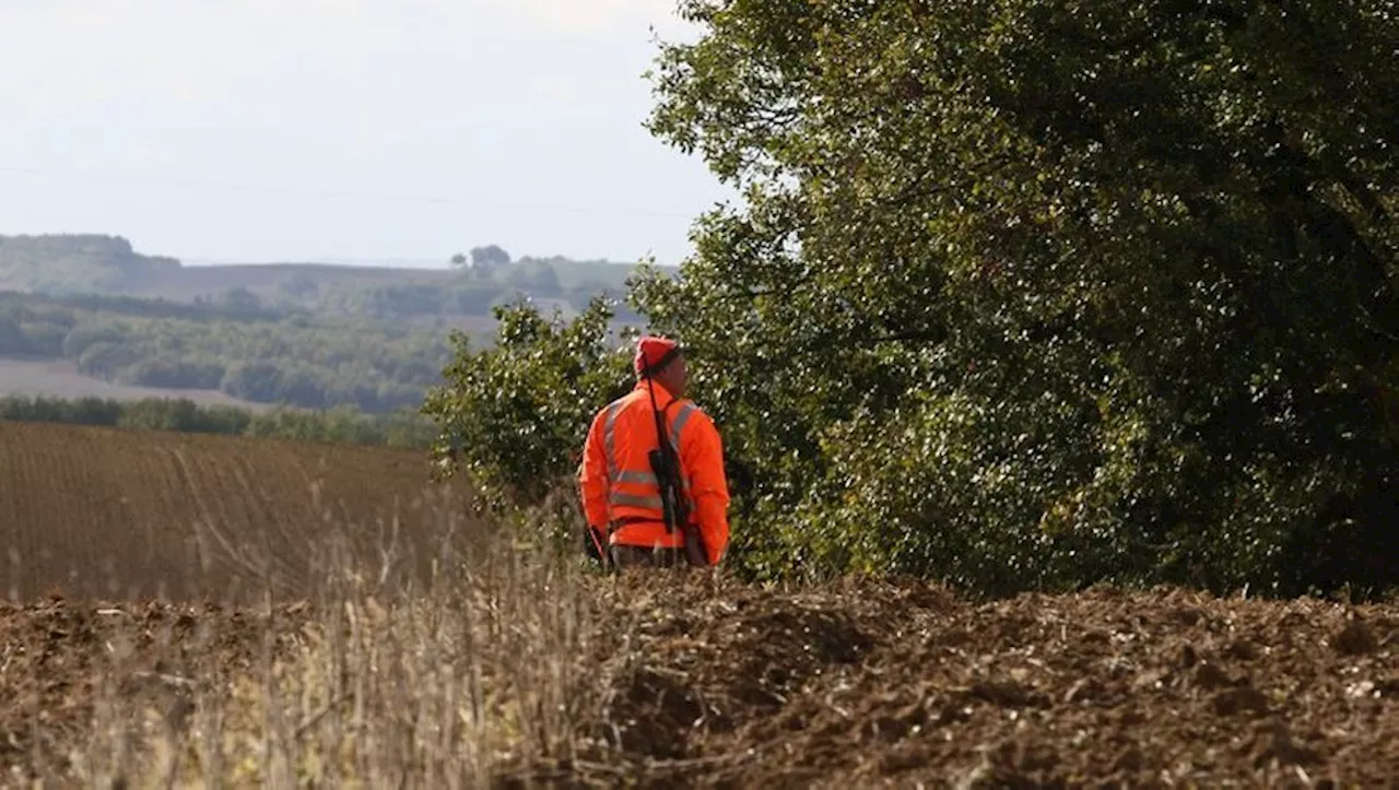 'Repartir avec une vision non tronquée': opération portes ouvertes dimanche avec les chasseurs gersois