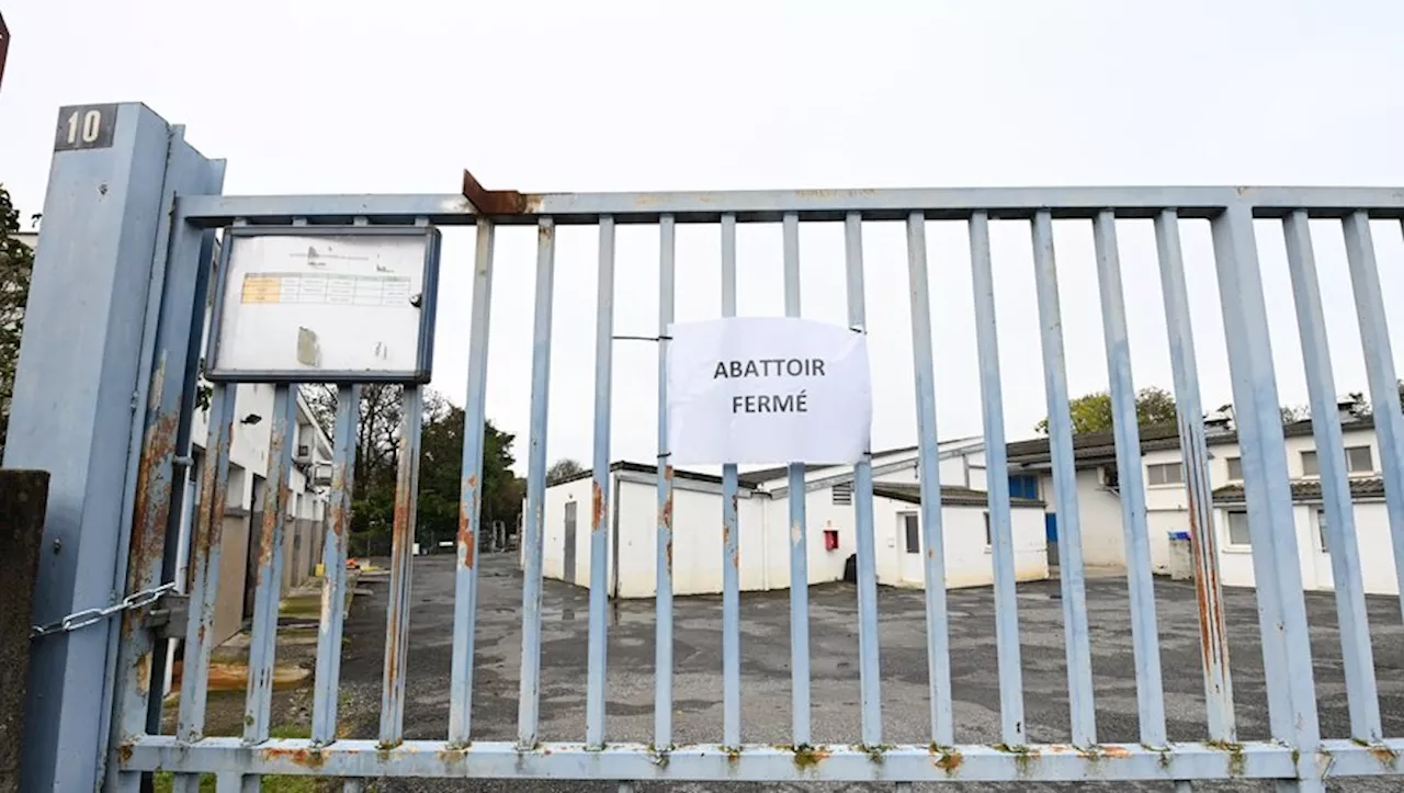 Abattoir de Bagnères-de-Bigorre : nouvelle mobilisation ce jeudi contre la fermeture