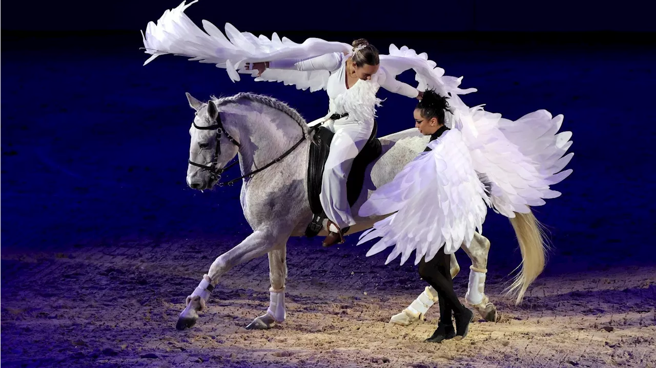 Avignon : la billetterie pour les spectacles équestres de Cheval Passion est ouverte