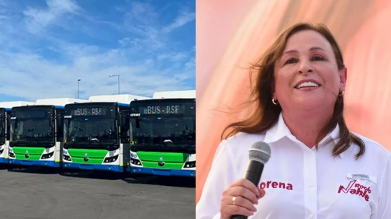 Rocío Nahle introduciría transportes públicos de esta empresa extranjera a Veracruz