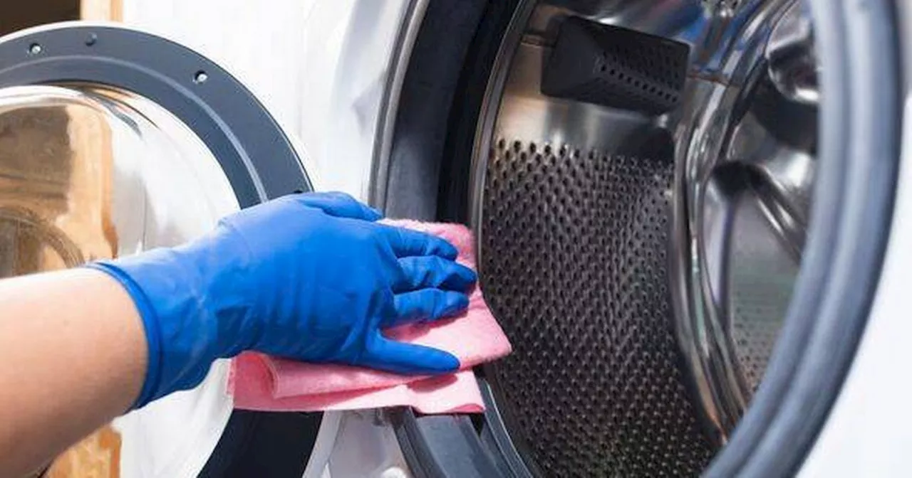 Deep clean washing machine by using two items you already have