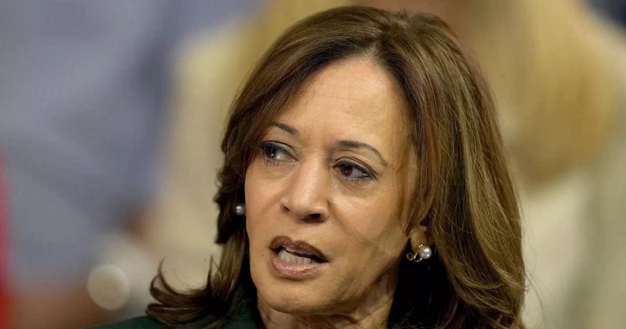 Usa 2024, Kamala sta affondando: tra i dem pentiti c&#039;è già nostalgia di Biden