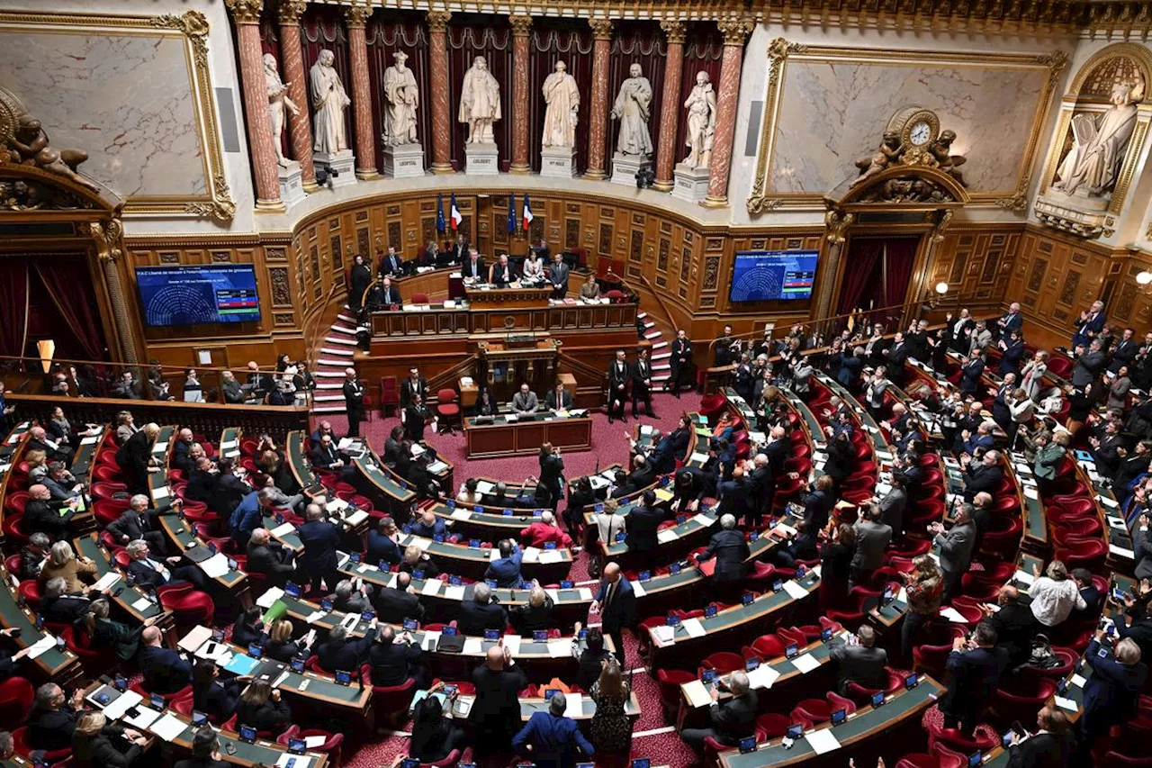 Nouvelle-Calédonie : le Sénat unanime pour reporter les élections provinciales