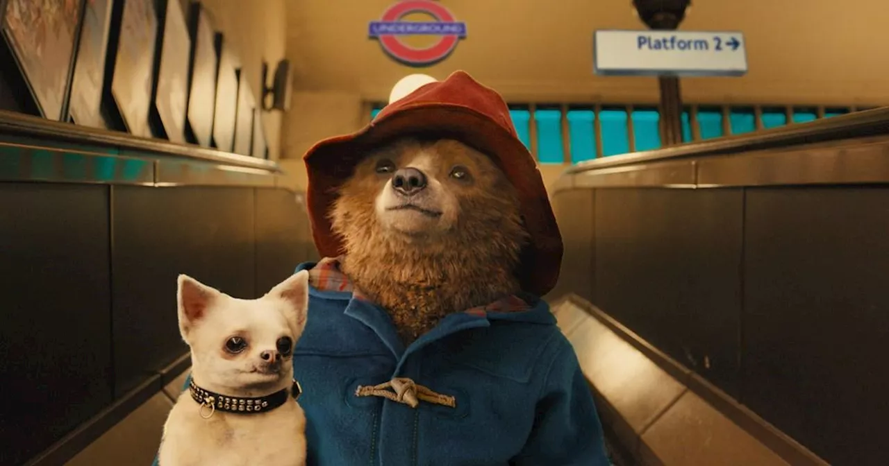 If only the Home Office treated migrants as well as Paddington Bear