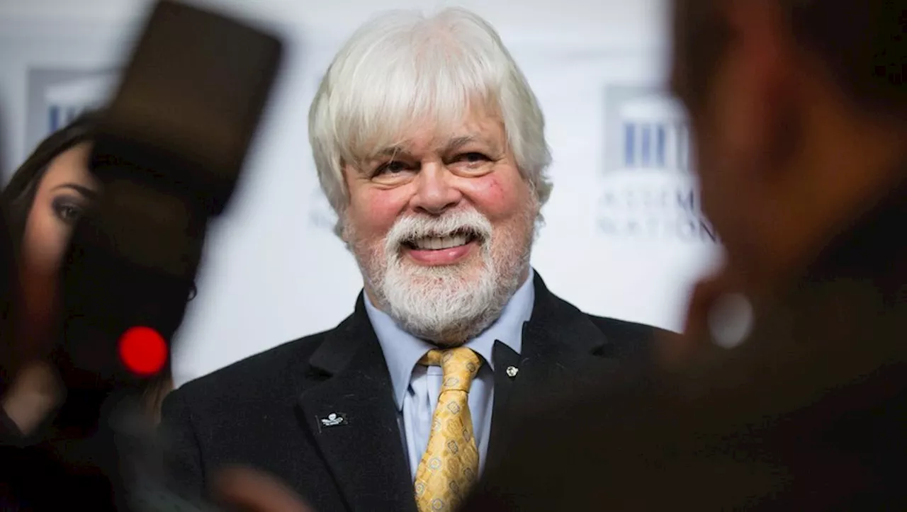 Paul Watson derrière les barreaux : La détention du défenseur des animaux encore prolongée