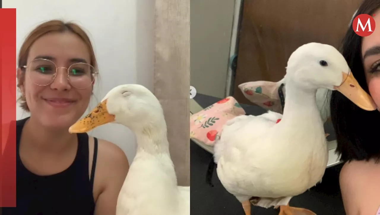 ¿Has visto sonreír a un pato? Mujer y su mascota se vuelven virales por video en TikTok