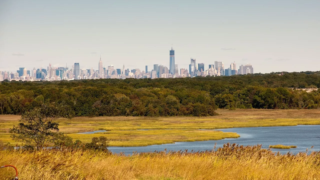 From environmental disaster to public park: Exploring Staten Island’s Freshkills