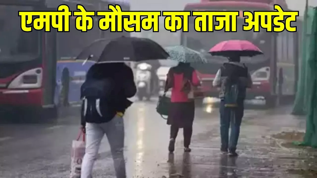 MP Weather Update: 'डाना' नामक तूफान का MP में कहर! प्रदेश के 10 जिलों में गरज- चमक के साथ बारिश की चेतावनी