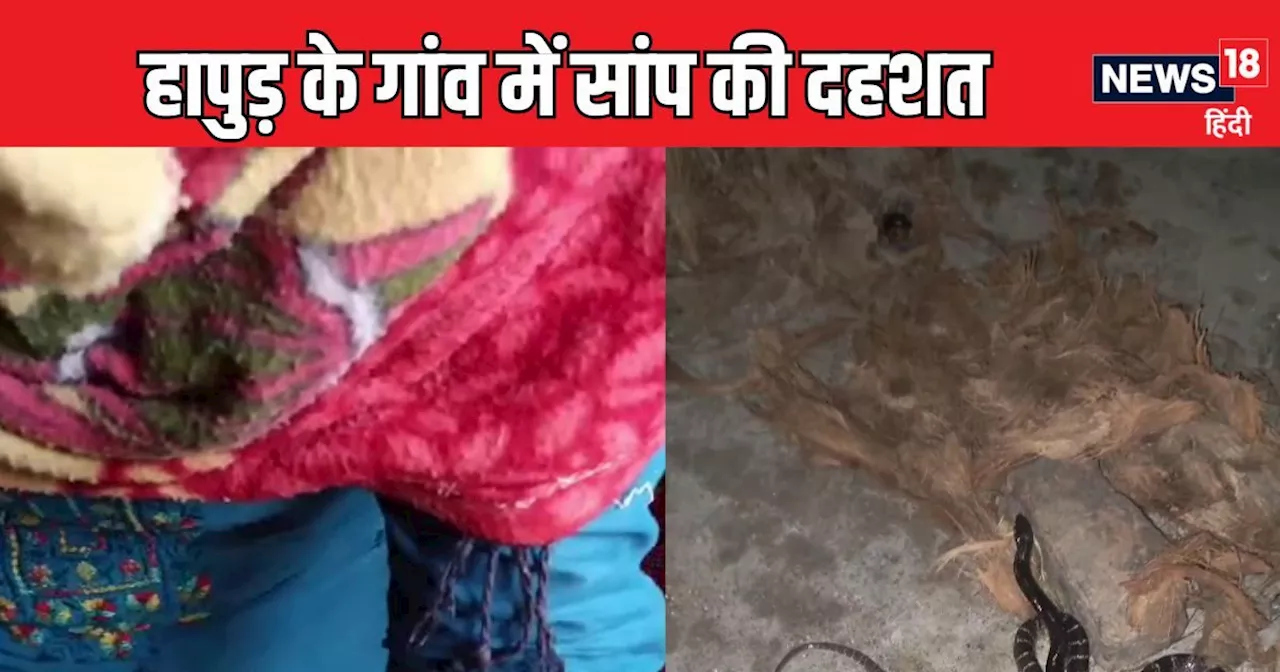 Hapur News: 5 दिन में 5 लोगों को डसा, एक ही परिवार के तीन लोगों की मौत, अंधेरे में हमला कर रहा 'रहस्यमयी' स...