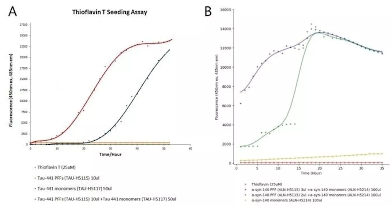 Understanding tau PFFs and alpha-synuclein PFFs