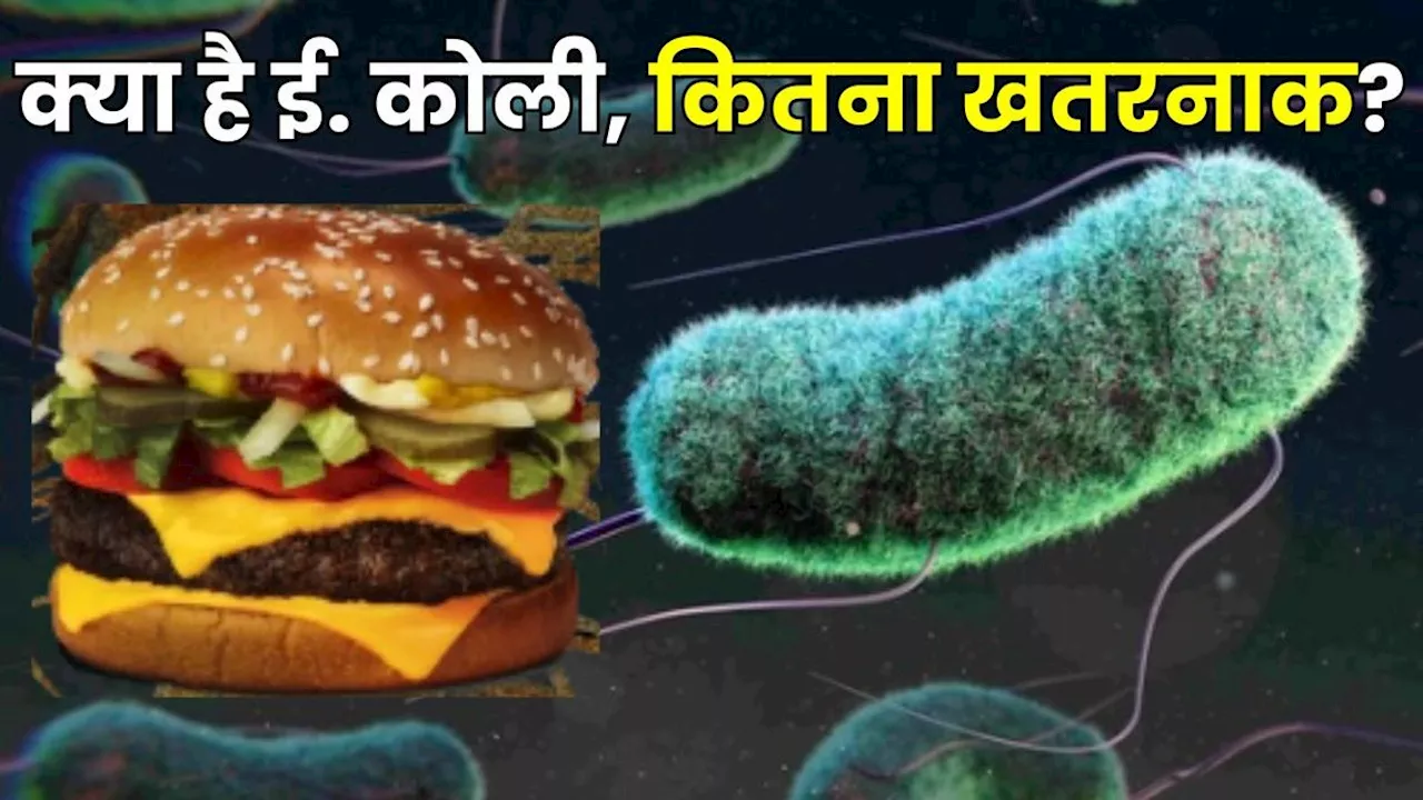 E. coli: क्या है ई. कोली, McDonald's के Burger से फैला संक्रमण? जानें- कितना शॉकिंग है ये पूरा मामला