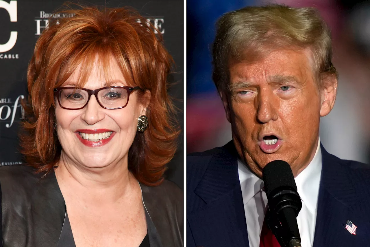 Joy Behar Compares Donald Trump to Adolf Hitler: 'Fascist Pig'