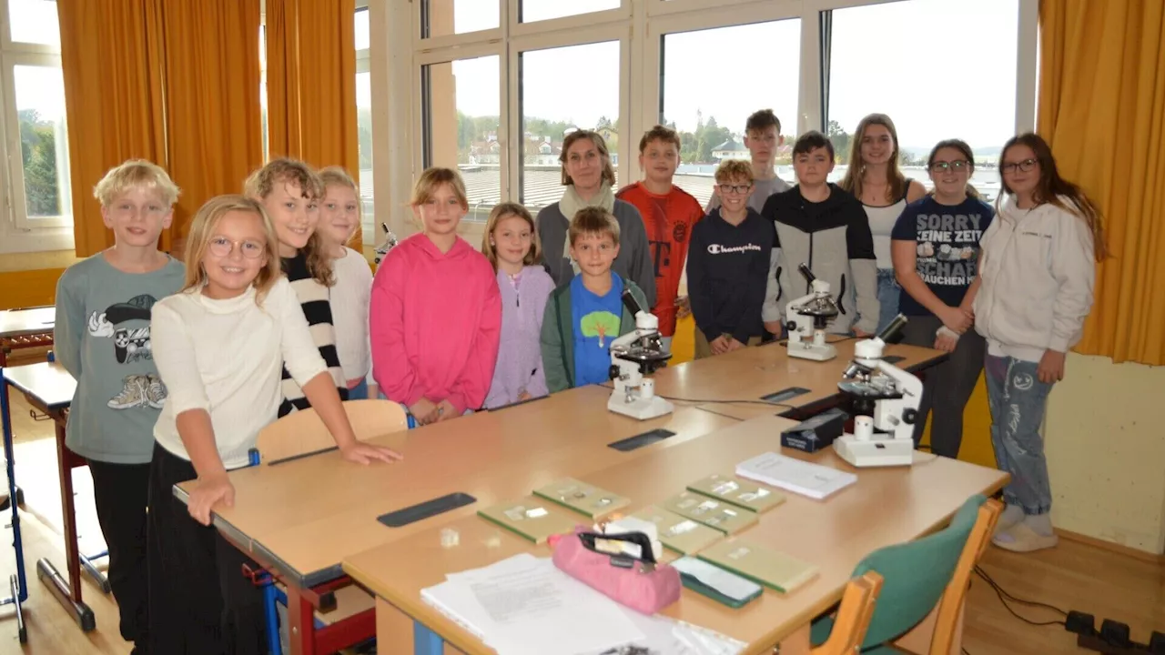 Mittelschule Neulengbach gab Einblicke in den Schulalltag