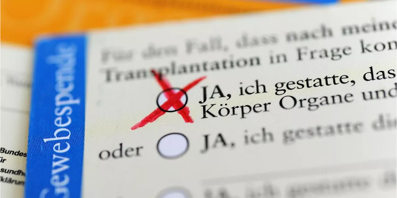 Mehr Organspenden in Bayern - doch viele Menschen warten