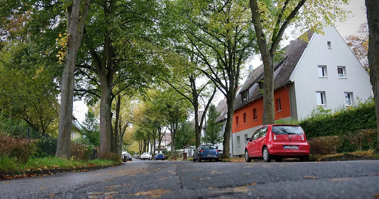 Ausbau wohl vom Tisch: Warum die Jahnstraße in Löhne unter Naturschutz steht