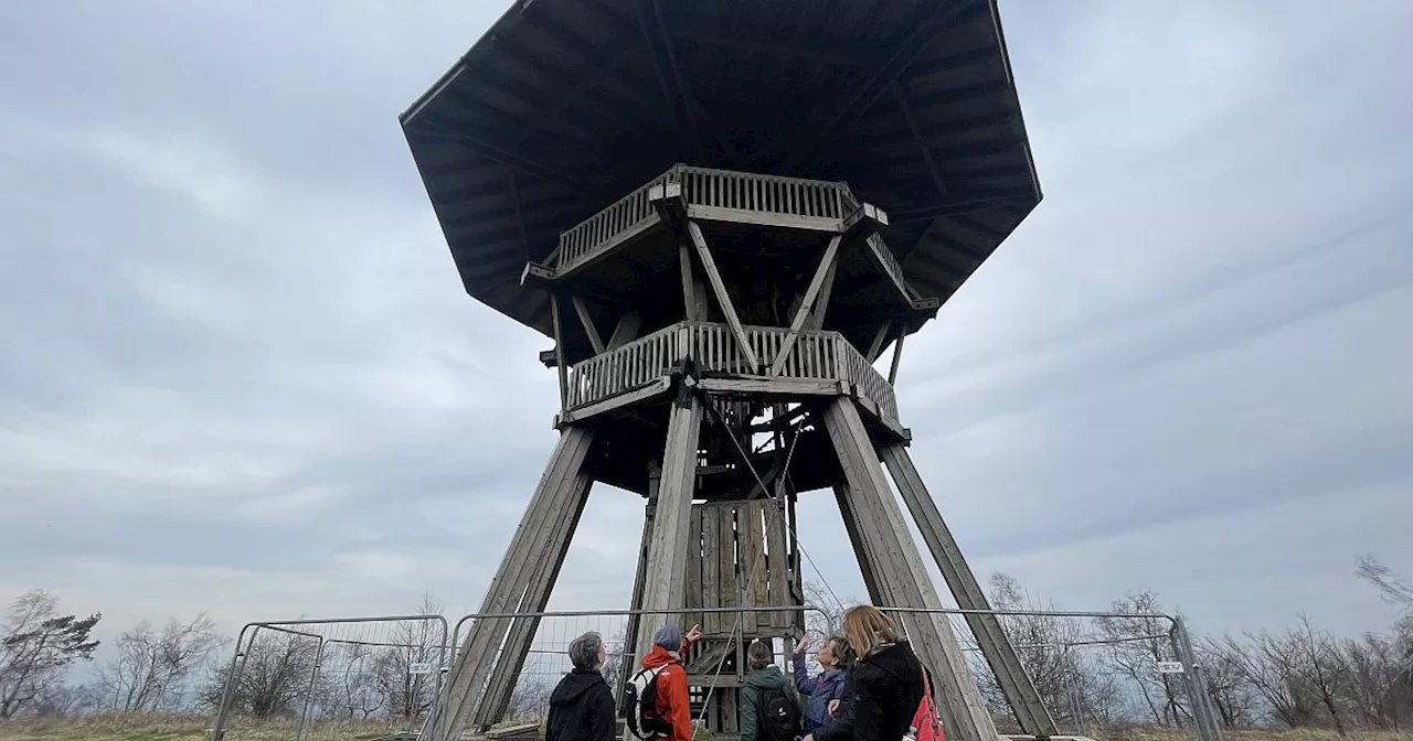 Das sind die Pläne für den beschädigten Steinheimer Eggeturm