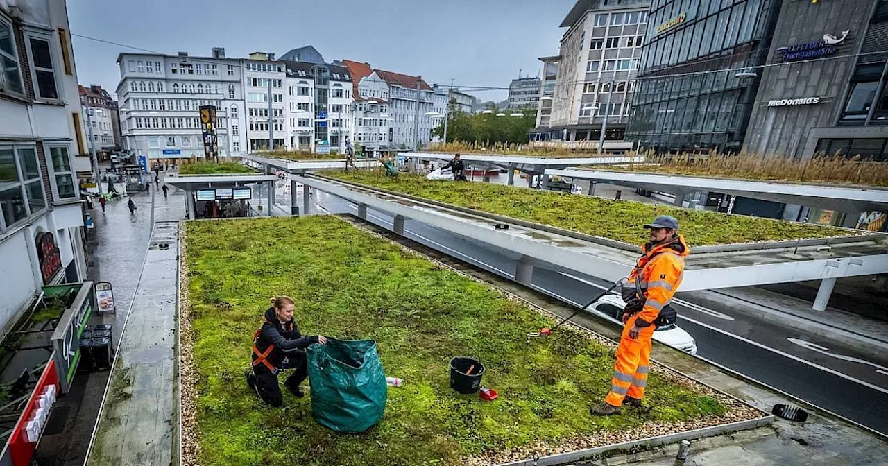 Das Warten hat ein Ende: Bielefelder Jahnplatz wird endlich grün