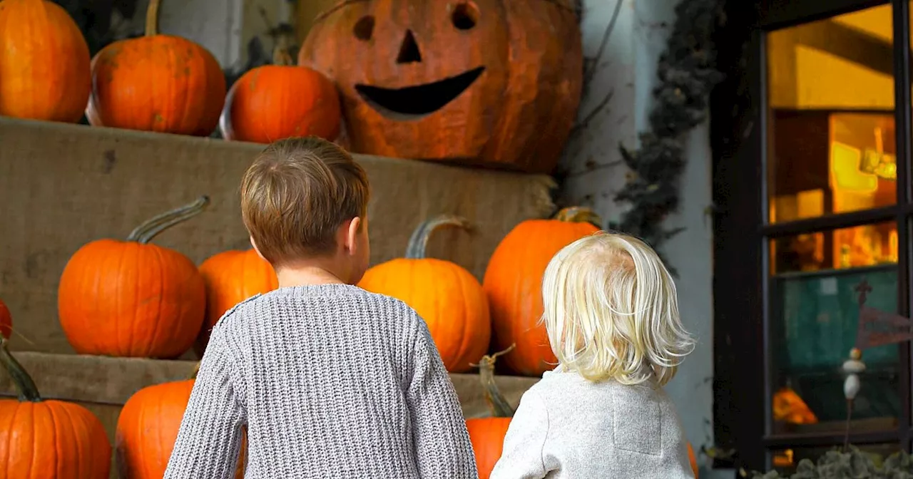 Mit Stockbrot und Feuershow: Halloween-Fest für die ganze Familie in Preußisch Oldendorf