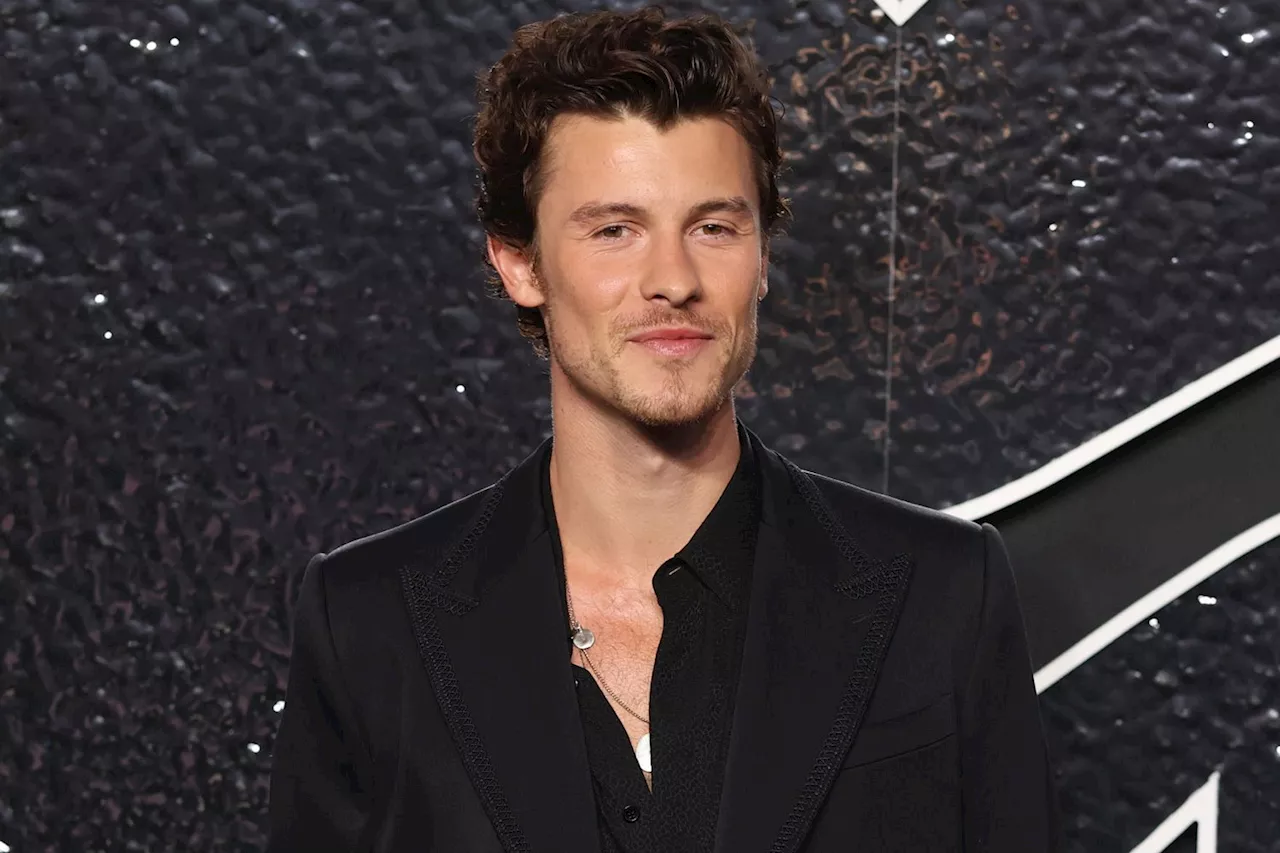 Shawn Mendes Seemingly Addresses Speculation About His Sexuality in New Song 'The Mountain'