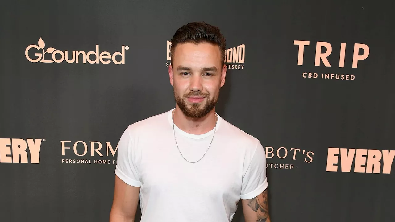 Freunde waren besorgt über Liam Paynes Pläne vor seinem Tod