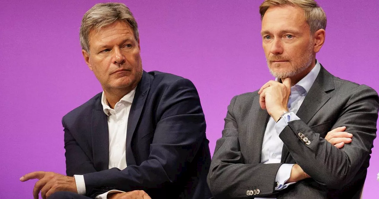 Linder äußert sich zu Habecks und stellt Investitionsfonds infrage